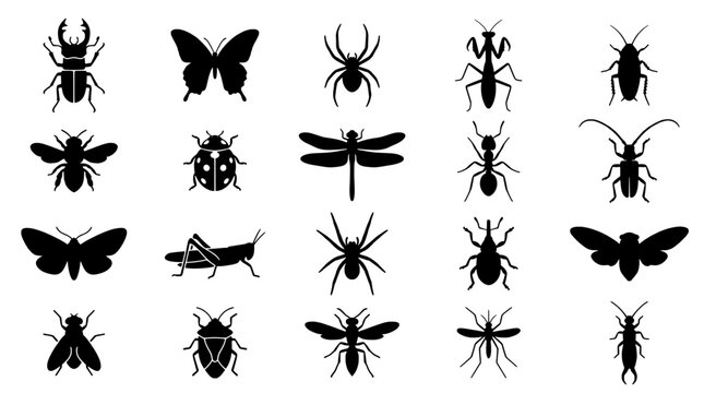 Insects and bugs collection with various species and silhouettes featuring beetles, butterflies, spiders with ants and dragonflies elements for
