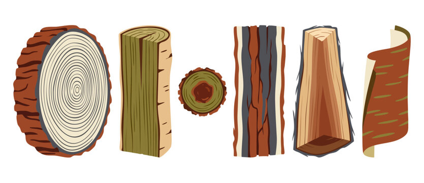 Wood Logs And Bark Set, Natural Timber Cross Sections And Textures For Forestry Design Projects, Hand Drawn Vector Illustration Elements Isolated On White Background, Rustic Material Resource Collecti