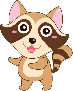 Cute raccoon