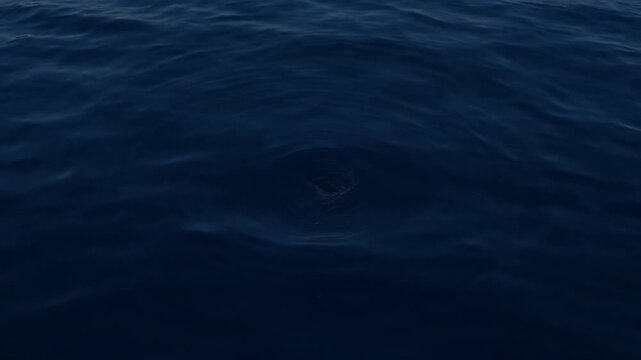 Dark blue ocean surface, calm rippling seawater texture background. Moody marine waves, nature water pattern