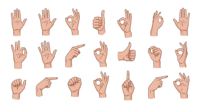 Set of eighteen realistic hand gesture illustrations showing common signs like thumbs up and pointing on a white base.