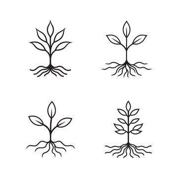 Four black line art plant saplings with roots and leaves on white background  isolated plant growth illustrations