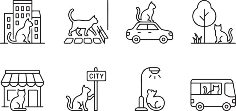 Stray and domestic cats in various city and urban environments