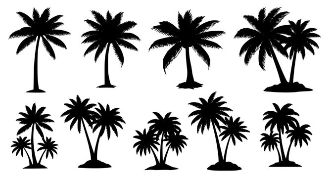 Tropical Palm Tree Silhouette Collection
Black tropical palm tree silhouette vector set with island beach scenery elements for summer travel and exotic nature themed designs.
