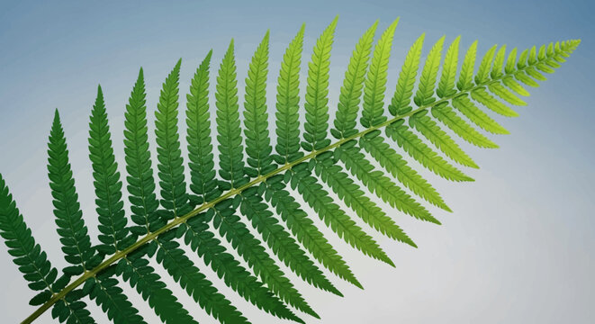 Close-up of a vibrant green fern frond with intricate details.