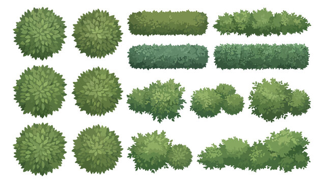Garden bushes collection showing various green hedge shapes for architectural landscape design and site planning