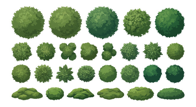 Set of green bushes and shrubs for architectural landscape design and digital garden map plans