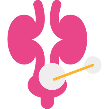 Nephron Icon
