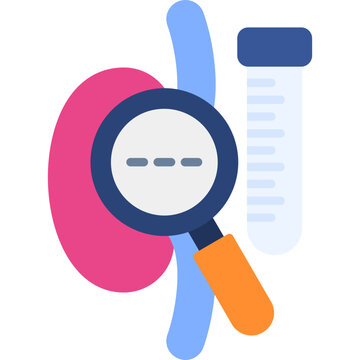 Kidney Function Test Icon