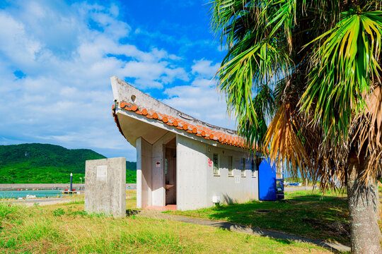 八重山ヤシ」の写真素材 | 316件の無料イラスト画像 | Adobe Stock