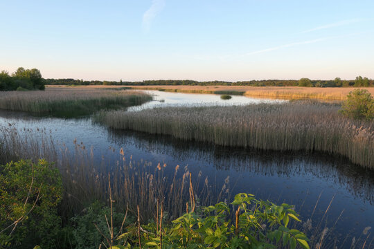 The Landtrask dam on northwestern Gotland Sweden. Formerly a larger lake, now an irrigation pond with lots of birds.