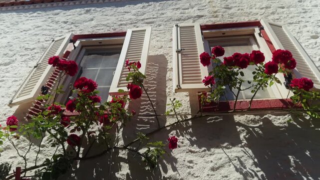 Red Roses Decorating a Traditional Turkish House Window with Wooden Shutters