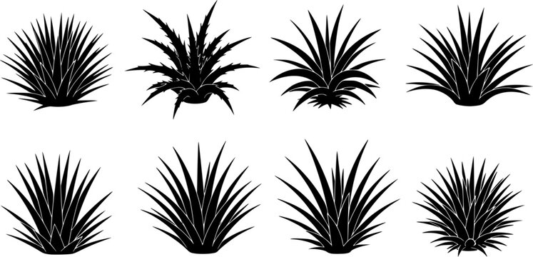 Eight distinct black silhouettes of stylized spiky plant like forms with varied sharp leaves, a clean flat vector, isolated on white background
