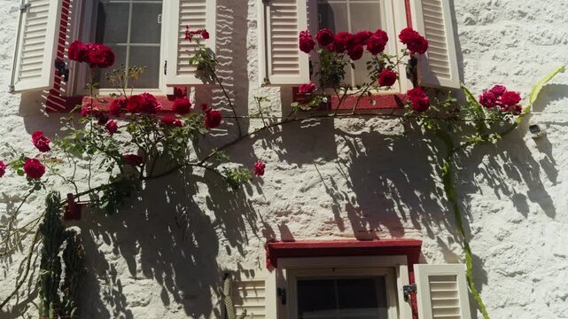 Red Roses Decorating a Traditional Turkish House Window with Wooden Shutters