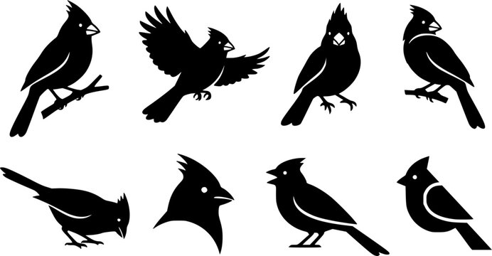 Northern Cardinal Bird Silhouette Set, Cardinal Bird Silhouette Vector Collection, Northern Cardinal Birds Clipart