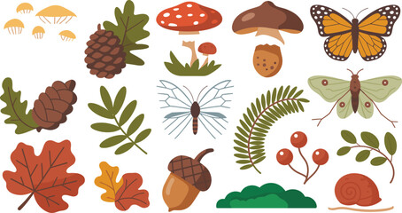 Autumn Forest Nature Vector Element Set with Mushrooms Pinecones Oak Leaves Butterfly Moth Acorn Berries and Snail for Cozy Seasonal Botanical Designs © MdAzijur