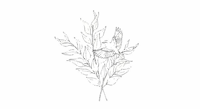 Botanical Illustration of Seaweed Fronds.