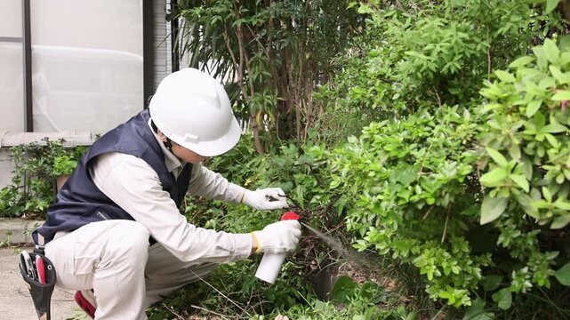 庭木に薬剤散布を行う男性作業員