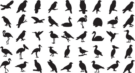 Fototapeta premium Black bird silhouettes collection, 50 avian species vector set, wild bird shapes including eagle owl flamingo and swan, nature wildlife design elements