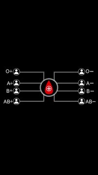 Medical chart animation with blood type diagram. Medical chart health compatibility visualization. Medical chart digital hospital graphic.