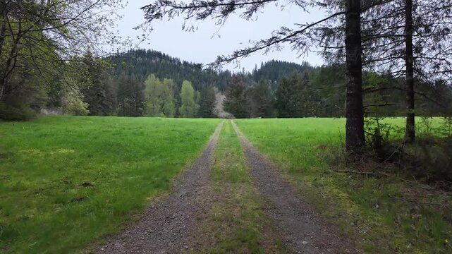 4K stabilized pocket action camera footage walking along a gravel forest road near Yale Lake in Washington, USA. Spring greenery and Pacific Northwest woodland scenery in peaceful wilderness