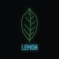 Fototapeta premium Green neon leaf icon with blue neon lemon text on black background