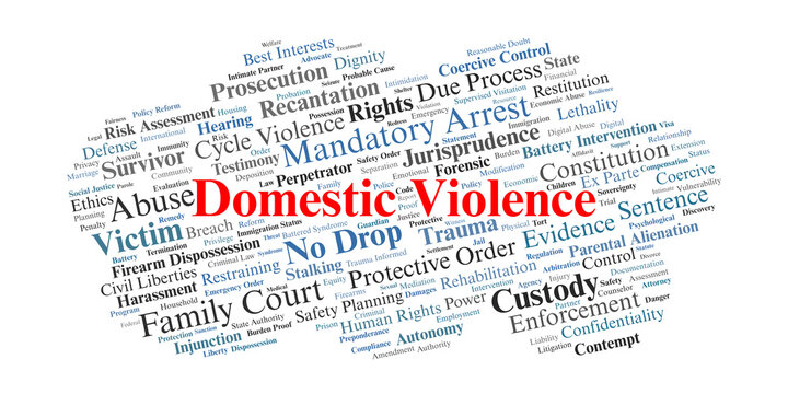 Domestic Violence Word Cloud. Visual summary of legal concepts regarding domestic abuse, coercive control, protective orders, and the intersection of criminal and family law systems.