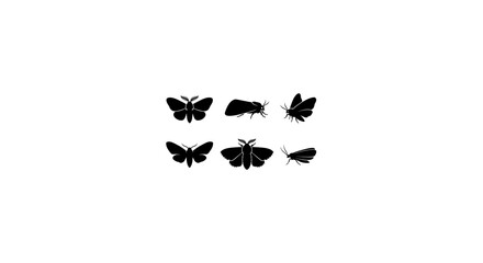 Six Black Moth Silhouettes, Insect Vector Icons, Nocturnal Lepidoptera Graphics, Minimalist Entomology Art © Zakir