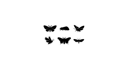 Black Silhouette Insects Vector Set, Butterfly and Moth Icons, Minimalist Winged Arthropod Graphics for Nature Designs © Zakir
