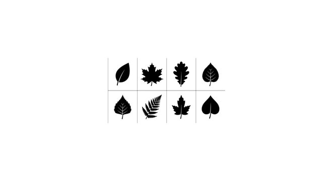 Set of 8 Black Leaf Icons, Botanical Vector Graphics, Nature Elements for Design, Autumn Foliage Silhouettes