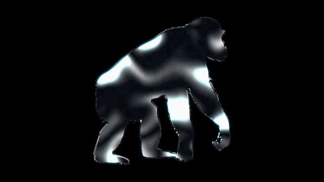Silver metallic chimpanzee silhouette. Alpha channel. Seamless loop video