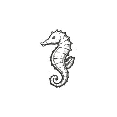 Fototapeta premium Seahorse Sketch Vector
