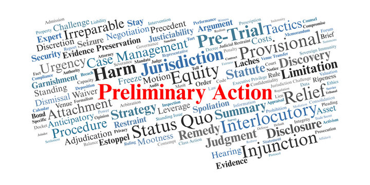 Preliminary Action Word Cloud. A visual representation of interlocutory motions, injunctive relief, and procedural steps taken to preserve rights before a final court judgment.