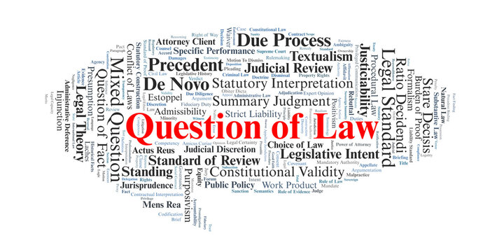Question of Law Word Cloud. Visual summary of concepts distinguishing legal interpretation from fact-finding, focusing on judicial authority, statutory construction, and de novo review.