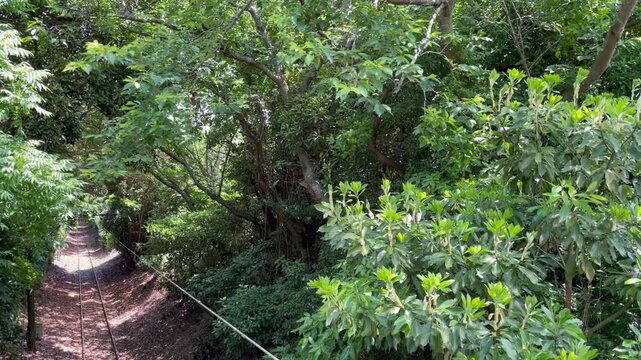 銚子電気鉄道で関東東端観光