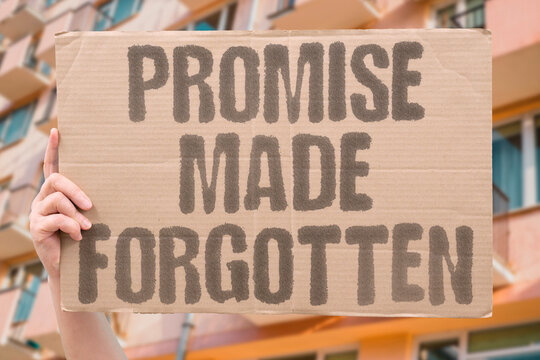 "Promise Made Forgotten" Voter mobilization relies on promises officials systematically fail to deliver. VOTER. MOBILIZATION. PROMISES. OFFICIALS. DELIVER.