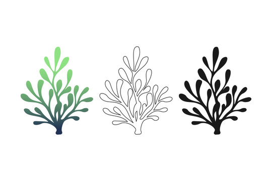 Stylized fucus bush icons set with green to navy gradient solid black and outline variations for marine identity seaweed cosmetic packaging and modern print design.