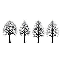 Obraz premium A series of trees changing through the four seasons