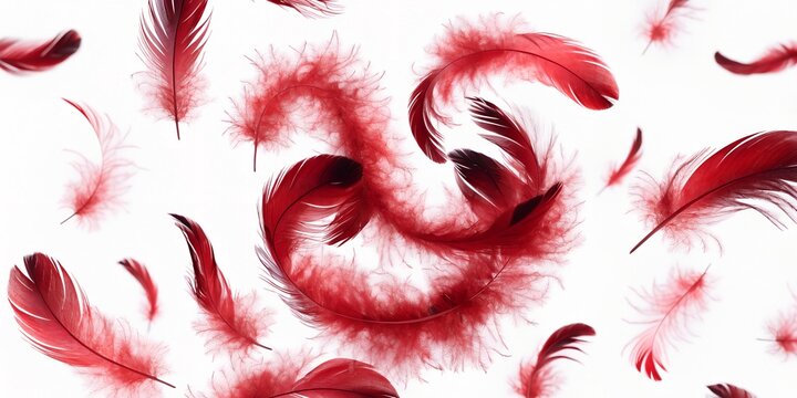 red feathers background