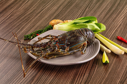 Raw fresh lobster for bowl