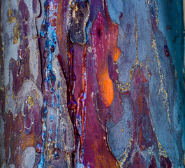 Bark, tree, natural design, abstract © Sebastian
