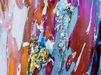 Bark, tree, natural design, abstract © Sebastian