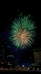 Fototapeta premium Brazil Independence Day Green and Gold Fireworks Greeting Card Over City