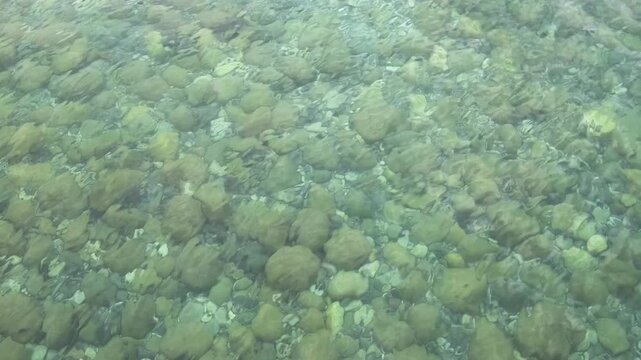 light waves on surface of clear water with pebbles on bottom, slow motion
