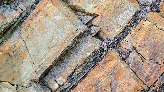 Rocky wall as natural background.