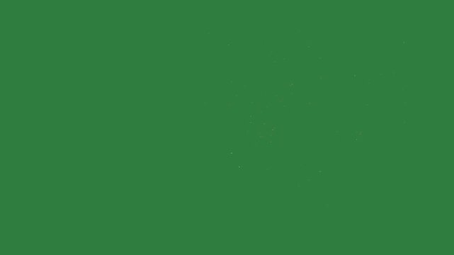 a soft focus effect, for dreamy or artistic video content.