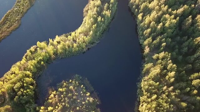 Top-down backward drone flight over a beautiful hook-shaped peninsula of the lake Riteru karjers at sunset, Latvia 
