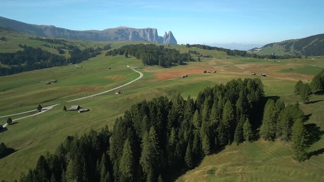 Dense pine tree lines separating lush green pastures and walking paths in the Italian Alps, with iconic Dolomite peaks in the background. Forward aerial.
