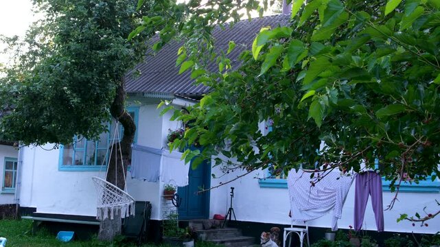 Simple whitewashed village house with light blue windows and modest roof stands beside a small shed. Quiet summer countryside scene showing authentic rural lifestyle and tradition.