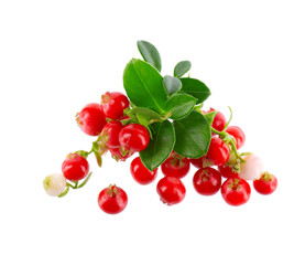 Obraz premium Fresh cowberry berries with leaves, isolated on white background. Ripe cranberry, cowberry, lingonberry. Clipping path.
